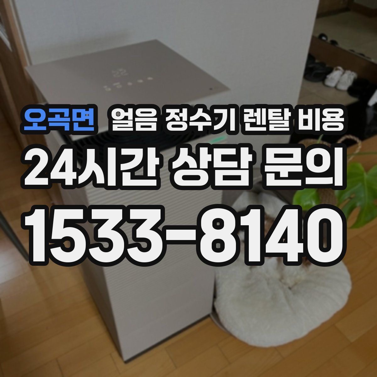 오곡면 얼음 정수기 렌탈 비용