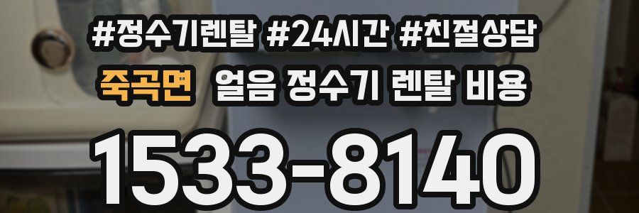 죽곡면 얼음 정수기 렌탈 비용