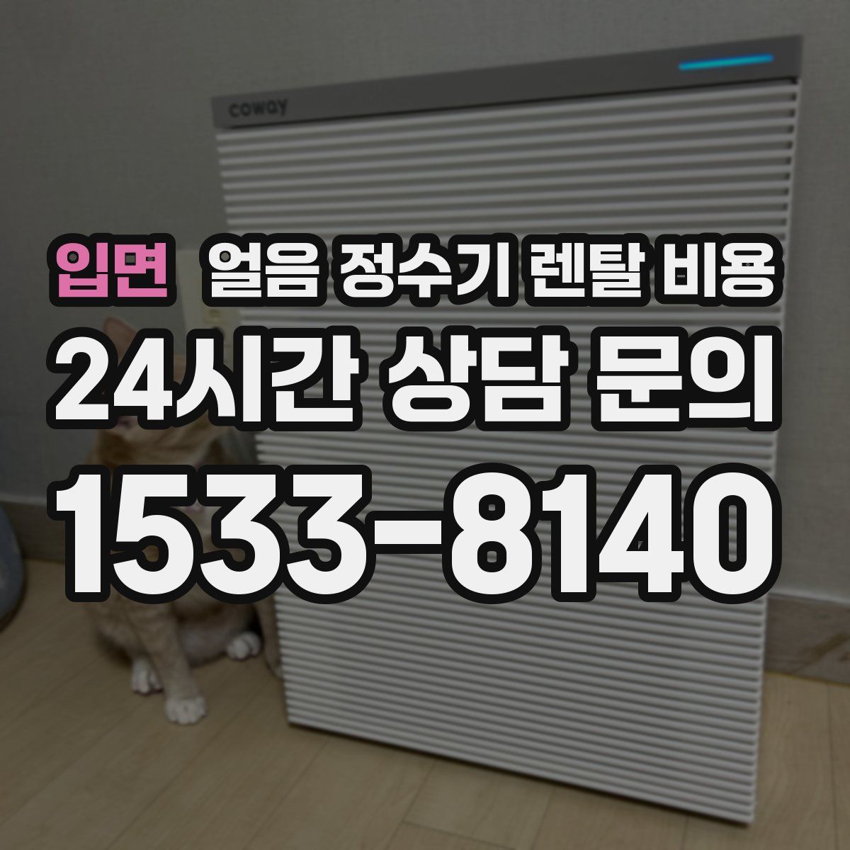 입면 얼음 정수기 렌탈 비용