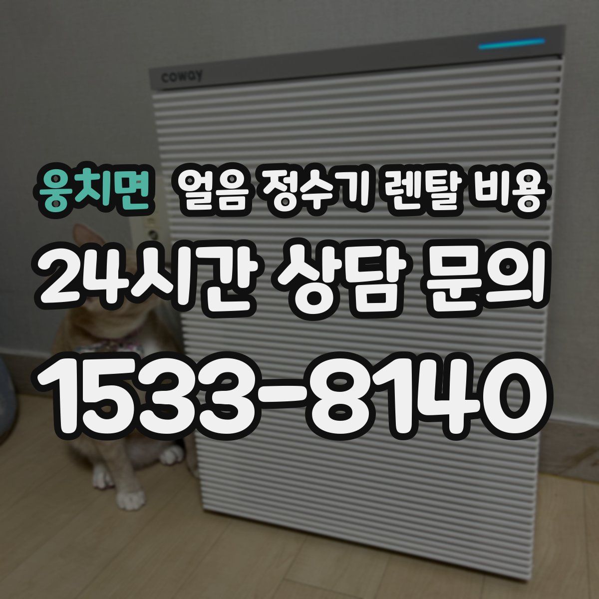 웅치면 얼음 정수기 렌탈 비용