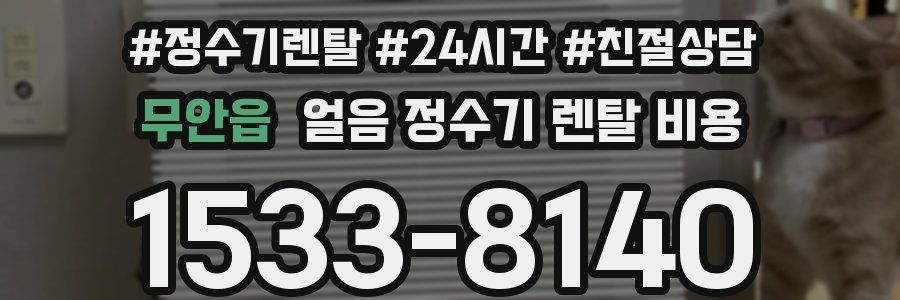 무안읍 얼음 정수기 렌탈 비용