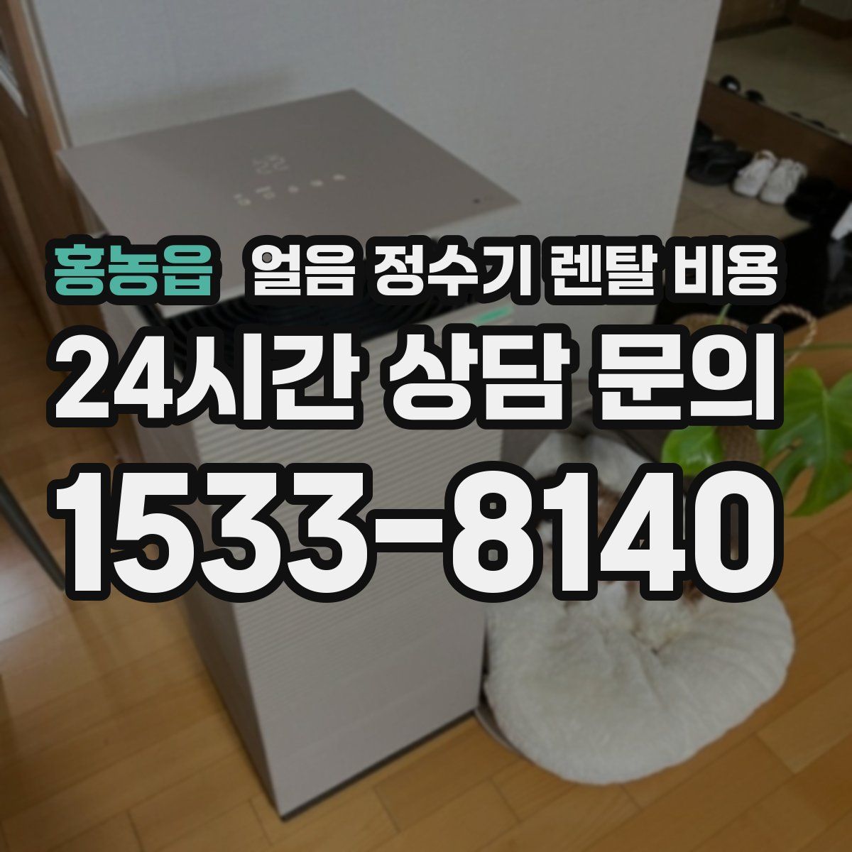 홍농읍 얼음 정수기 렌탈 비용