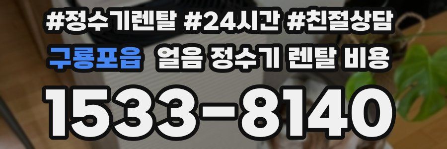 구룡포읍 얼음 정수기 렌탈 비용