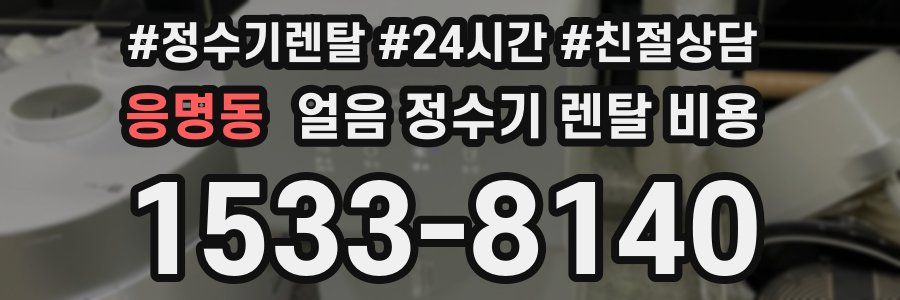 응명동 얼음 정수기 렌탈 비용