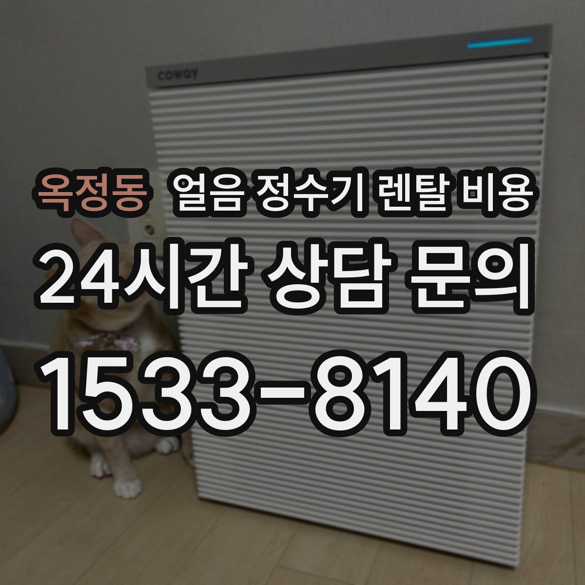 옥정동 얼음 정수기 렌탈 비용