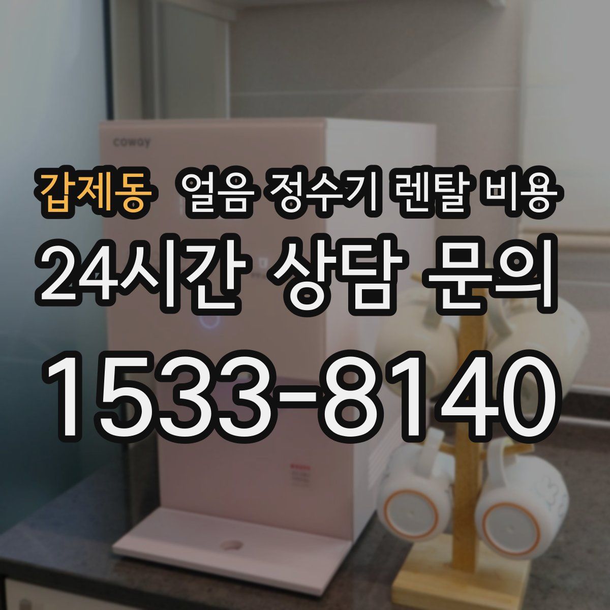 갑제동 얼음 정수기 렌탈 비용