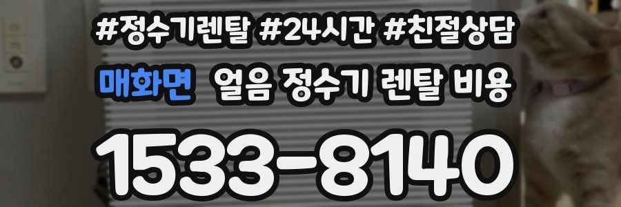 매화면 얼음 정수기 렌탈 비용