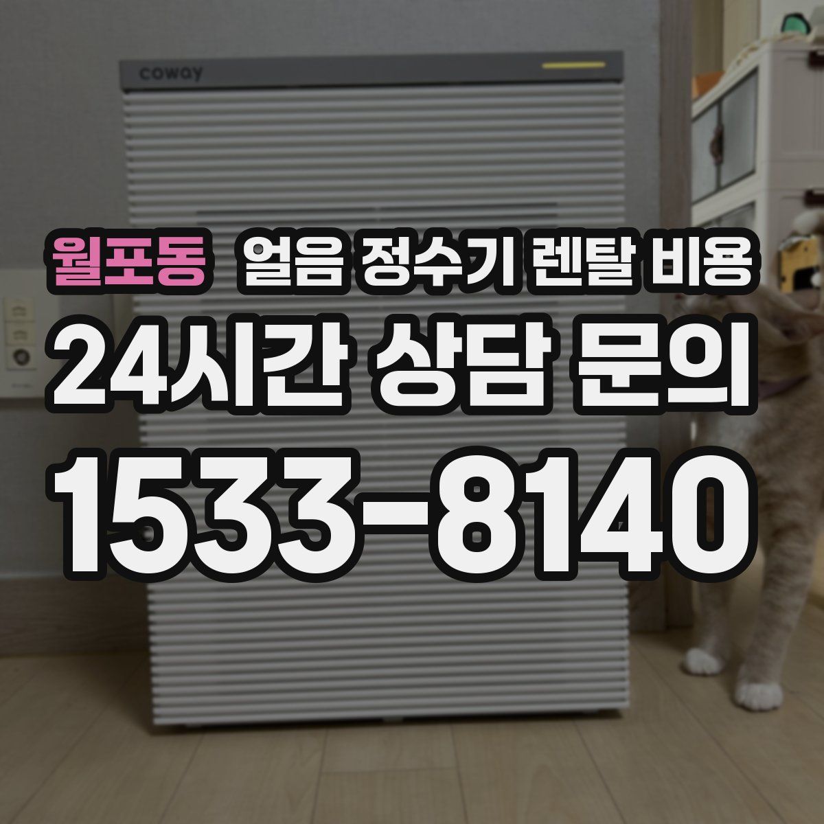 월포동 얼음 정수기 렌탈 비용