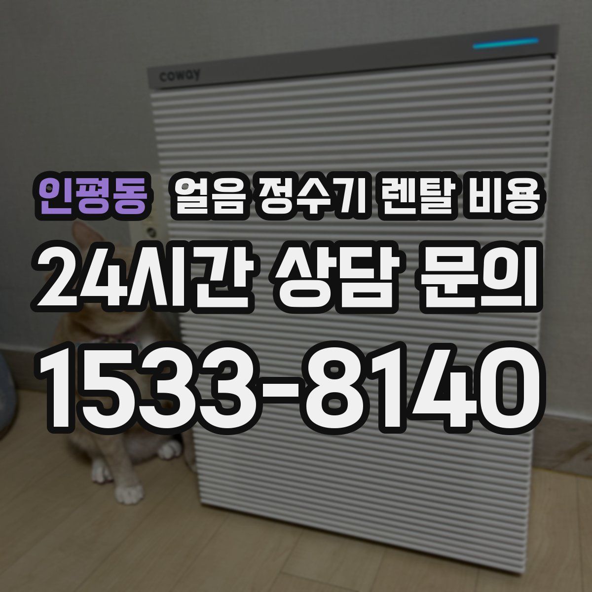 인평동 얼음 정수기 렌탈 비용