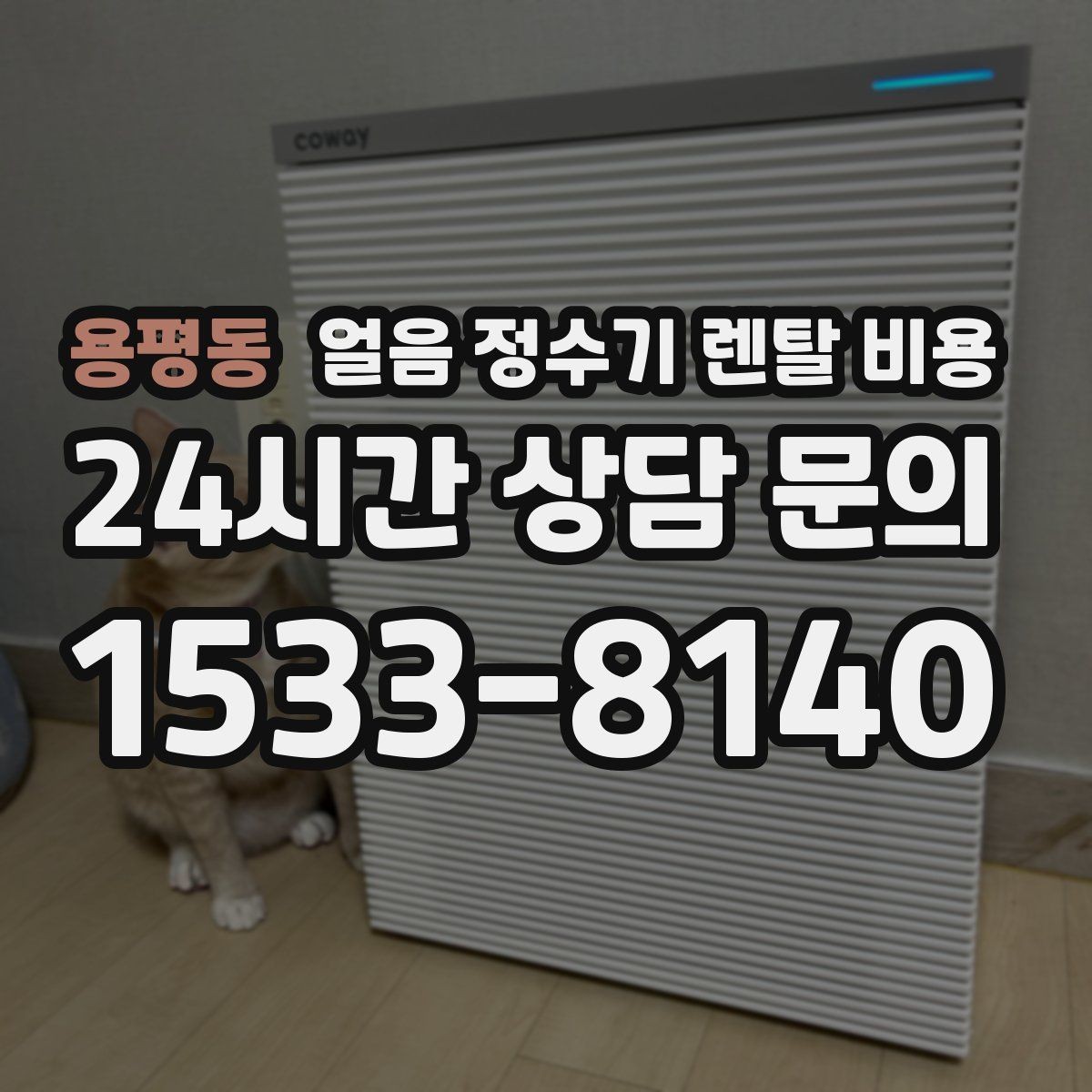 용평동 얼음 정수기 렌탈 비용 렌탈과 구매 전환 고민될 때