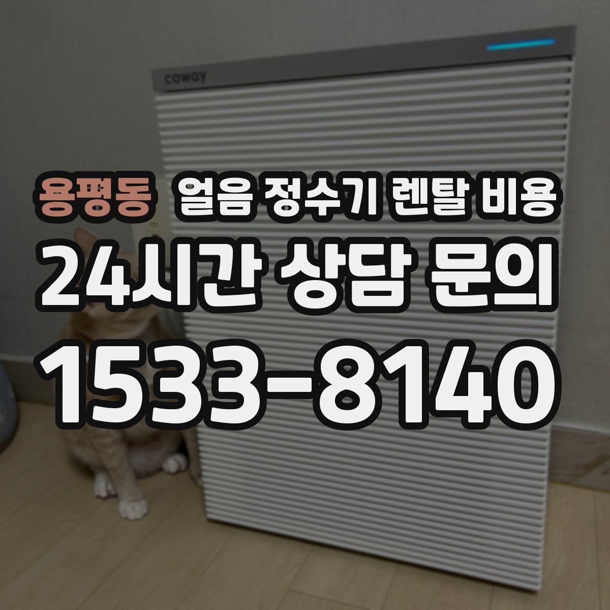 용평동 얼음 정수기 렌탈 비용