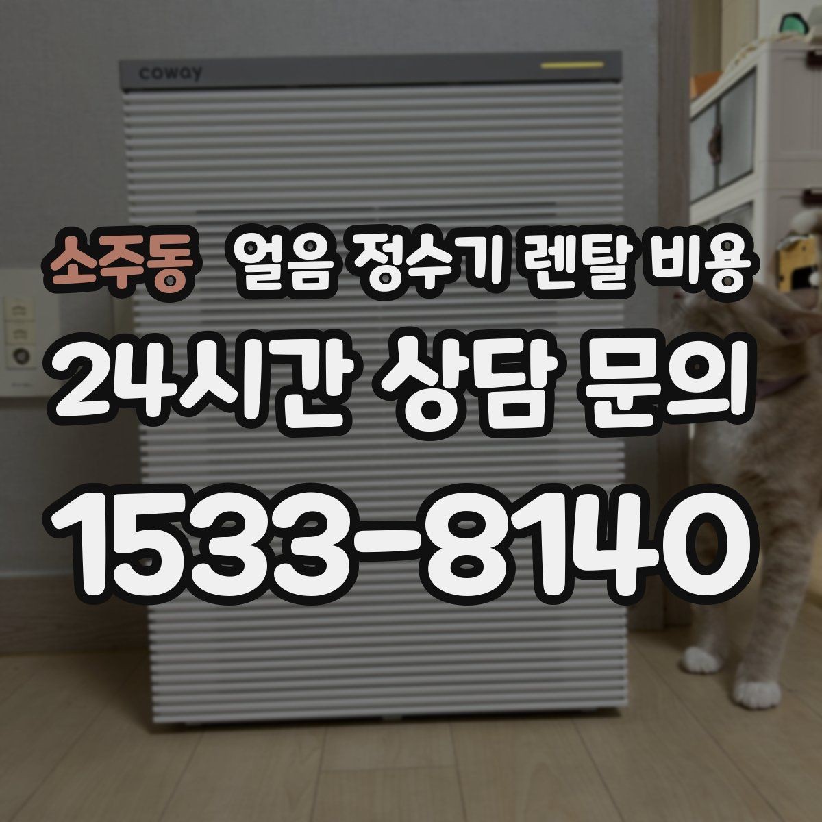 소주동 얼음 정수기 렌탈 비용 브랜드 신뢰도 확인하는 방법
