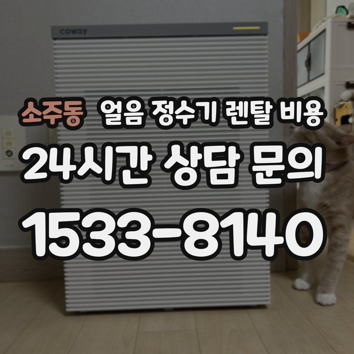 소주동 얼음 정수기 렌탈 비용