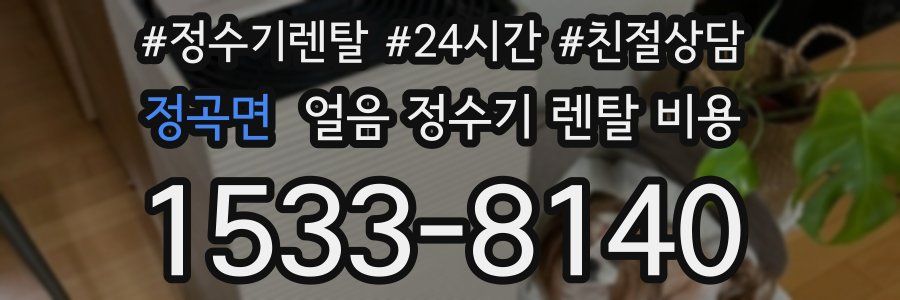 정곡면 얼음 정수기 렌탈 비용