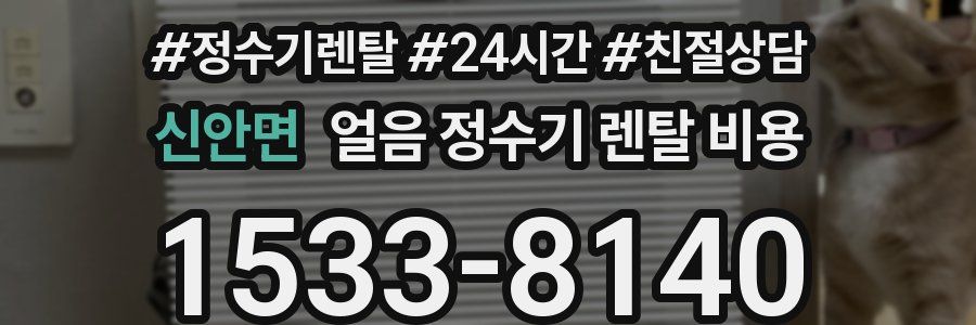 신안면 얼음 정수기 렌탈 비용