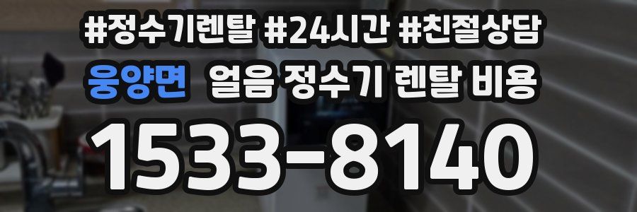 웅양면 얼음 정수기 렌탈 비용