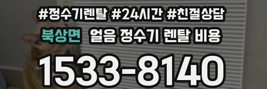 북상면 얼음 정수기 렌탈 비용