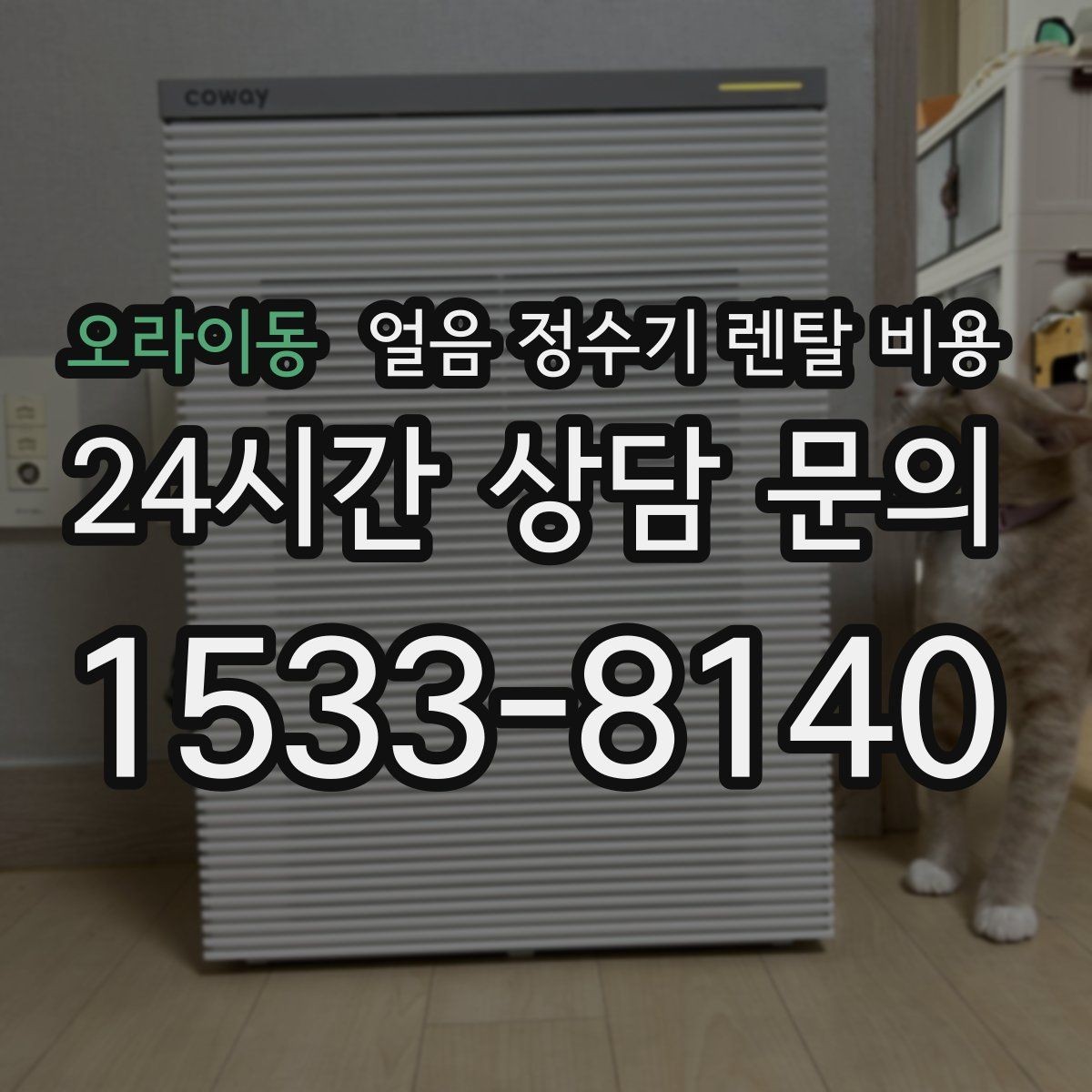오라이동 얼음 정수기 렌탈 비용 렌탈 중 교체 가능 여부 확인