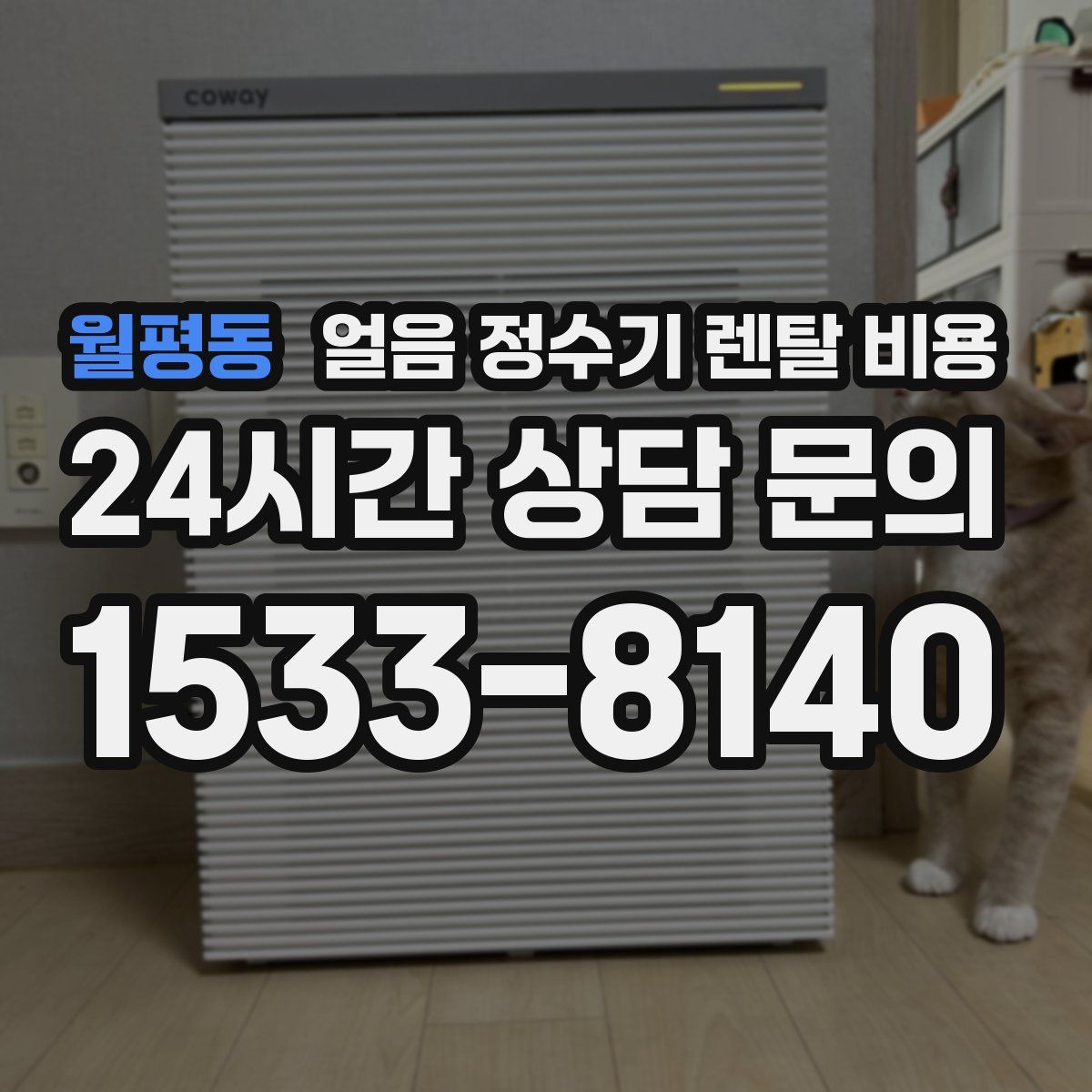 월평동 얼음 정수기 렌탈 비용