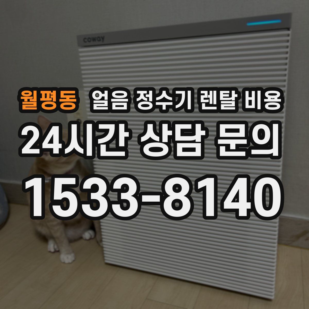 월평동 얼음 정수기 렌탈 비용