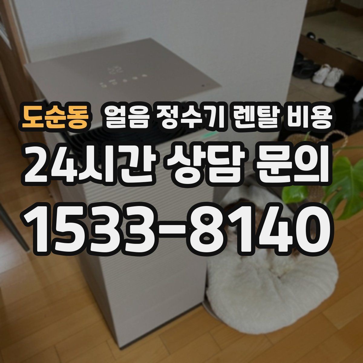 도순동 얼음 정수기 렌탈 비용 실제 사용자 경험 기준 정리