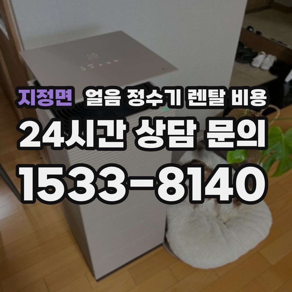 지정면 얼음 정수기 렌탈 비용