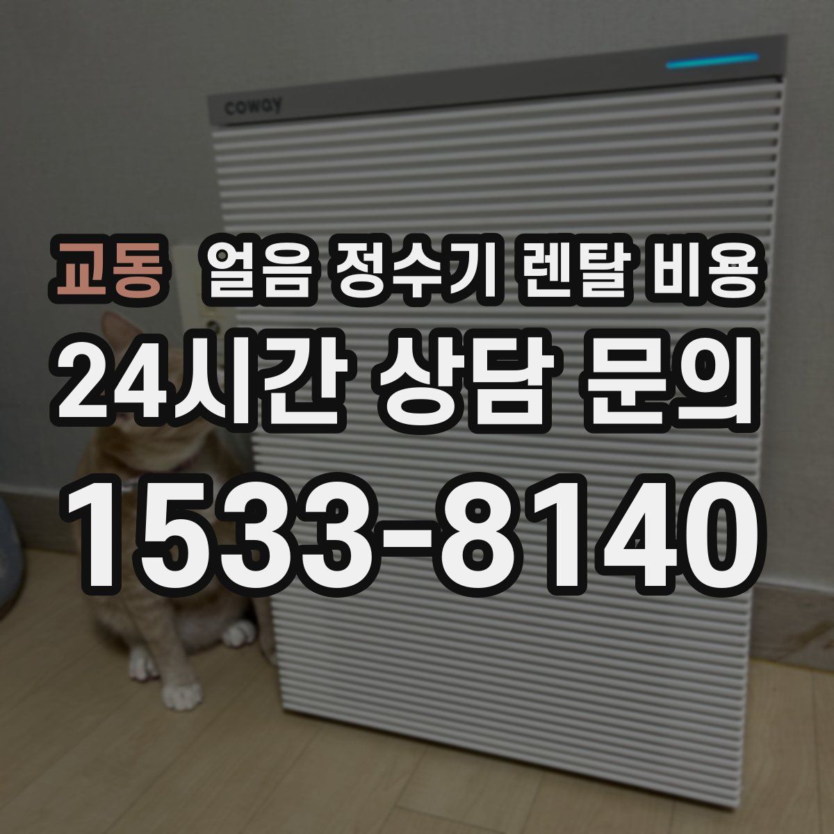 교동 얼음 정수기 렌탈 비용