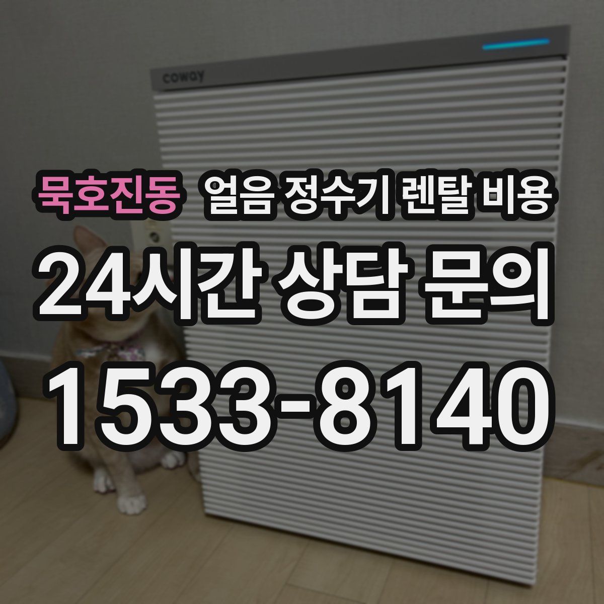 묵호진동 얼음 정수기 렌탈 비용