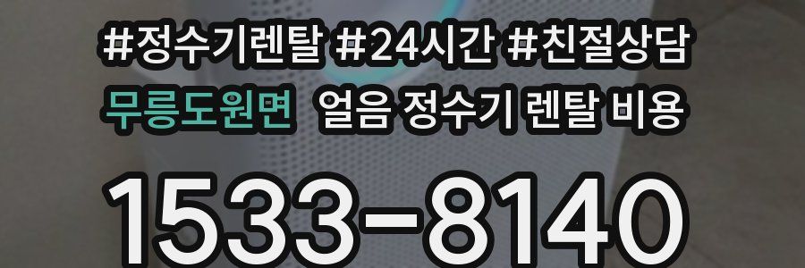 무릉도원면 얼음 정수기 렌탈 비용