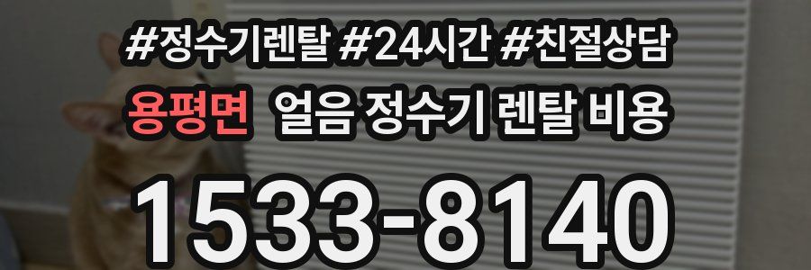 용평면 얼음 정수기 렌탈 비용
