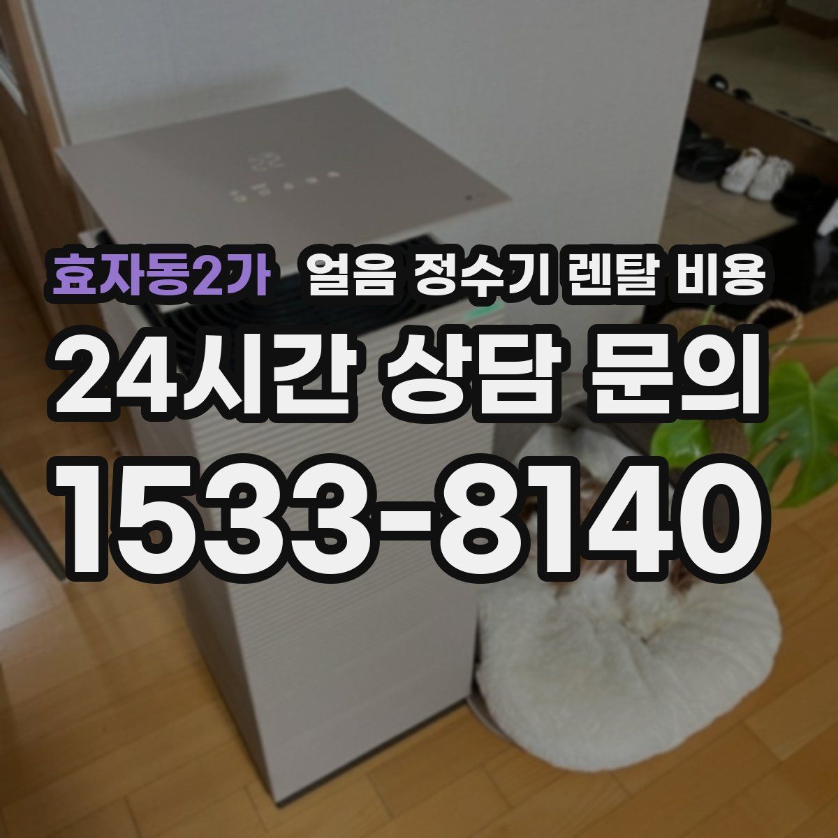 효자동2가 얼음 정수기 렌탈 비용