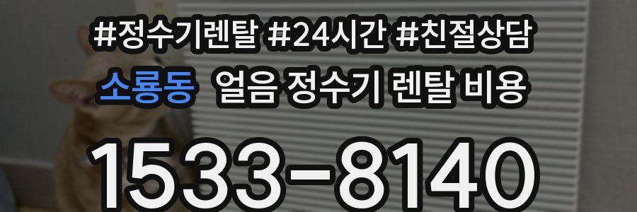 소룡동 얼음 정수기 렌탈 비용