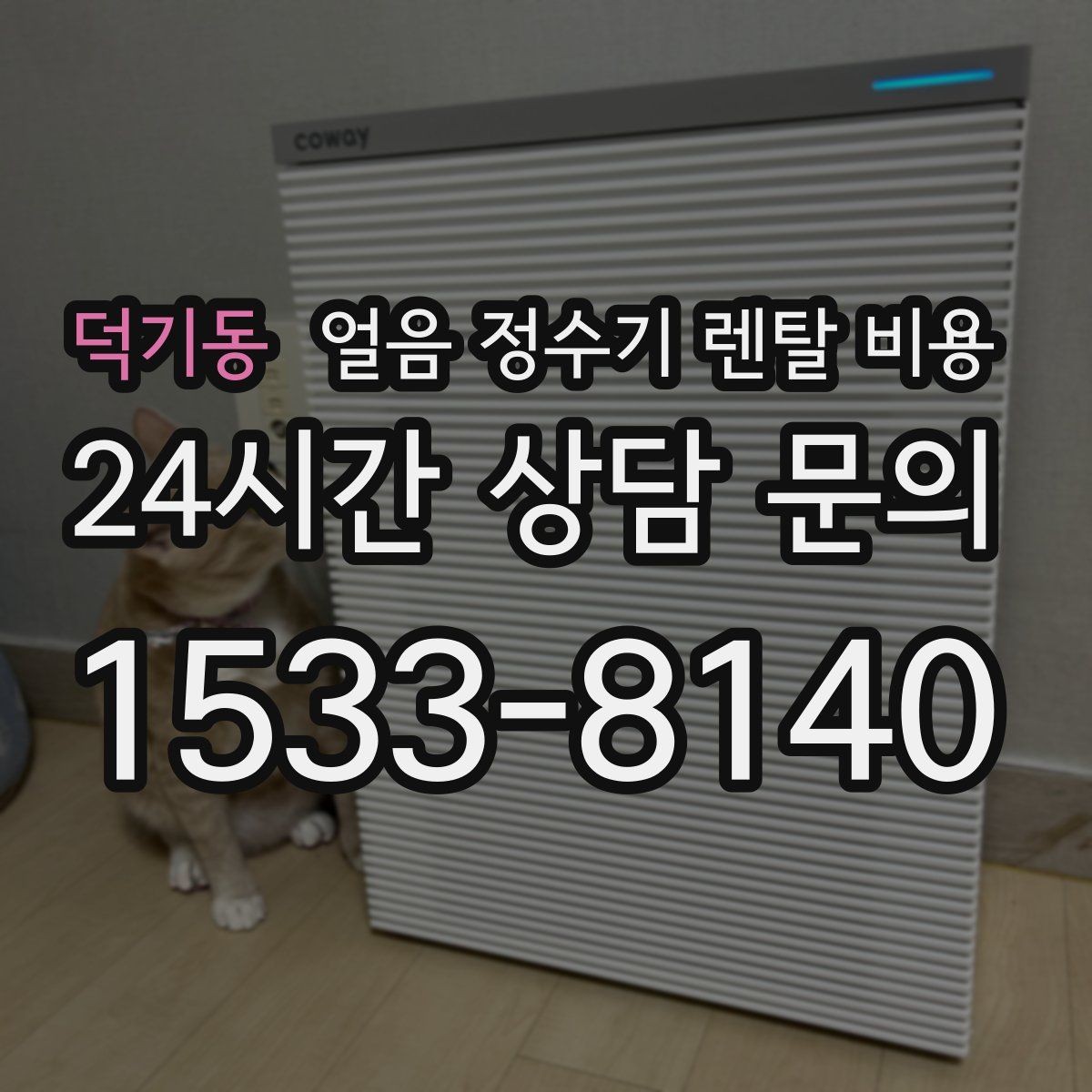 덕기동 얼음 정수기 렌탈 비용 정수 전용 제품과 비교해보기