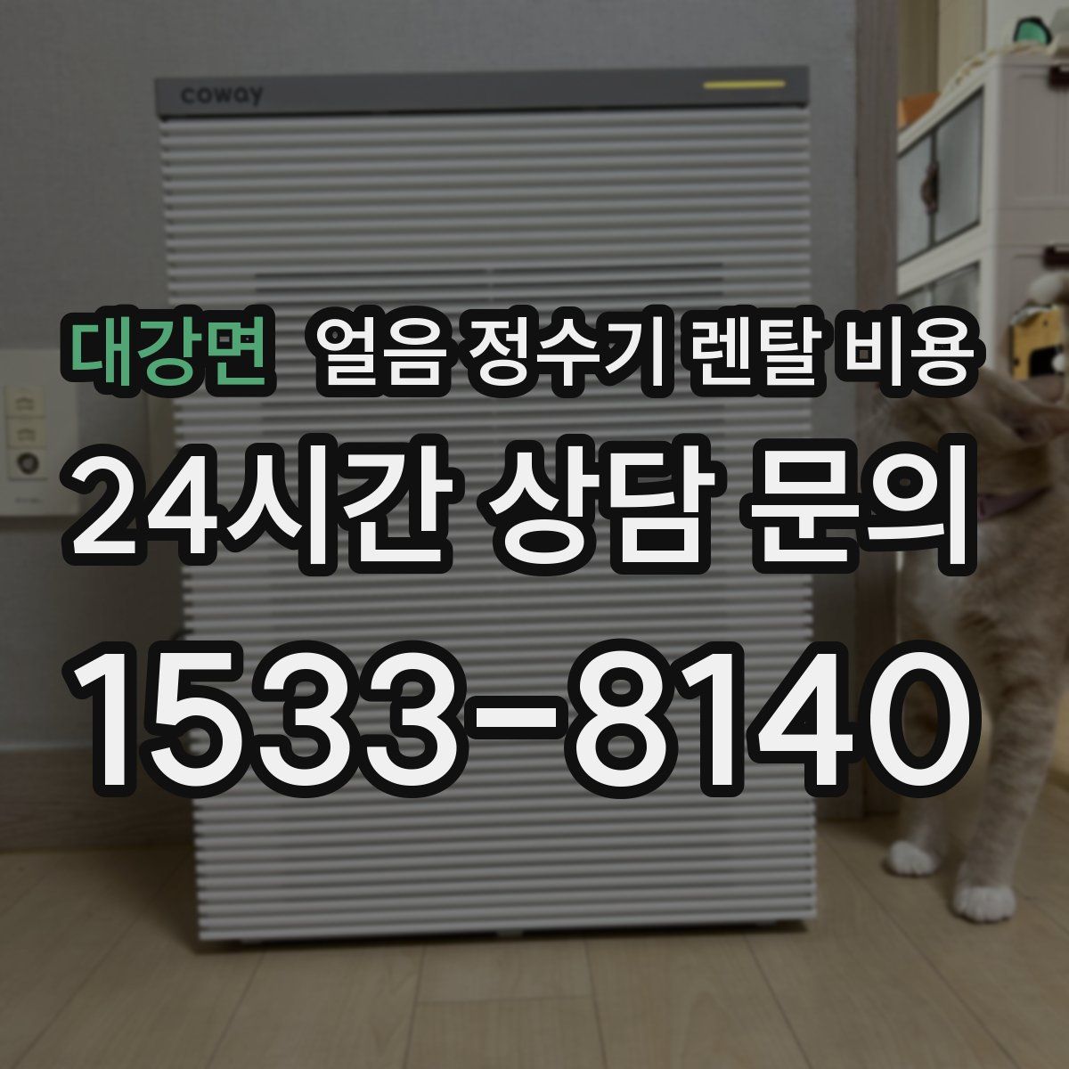 대강면 얼음 정수기 렌탈 비용