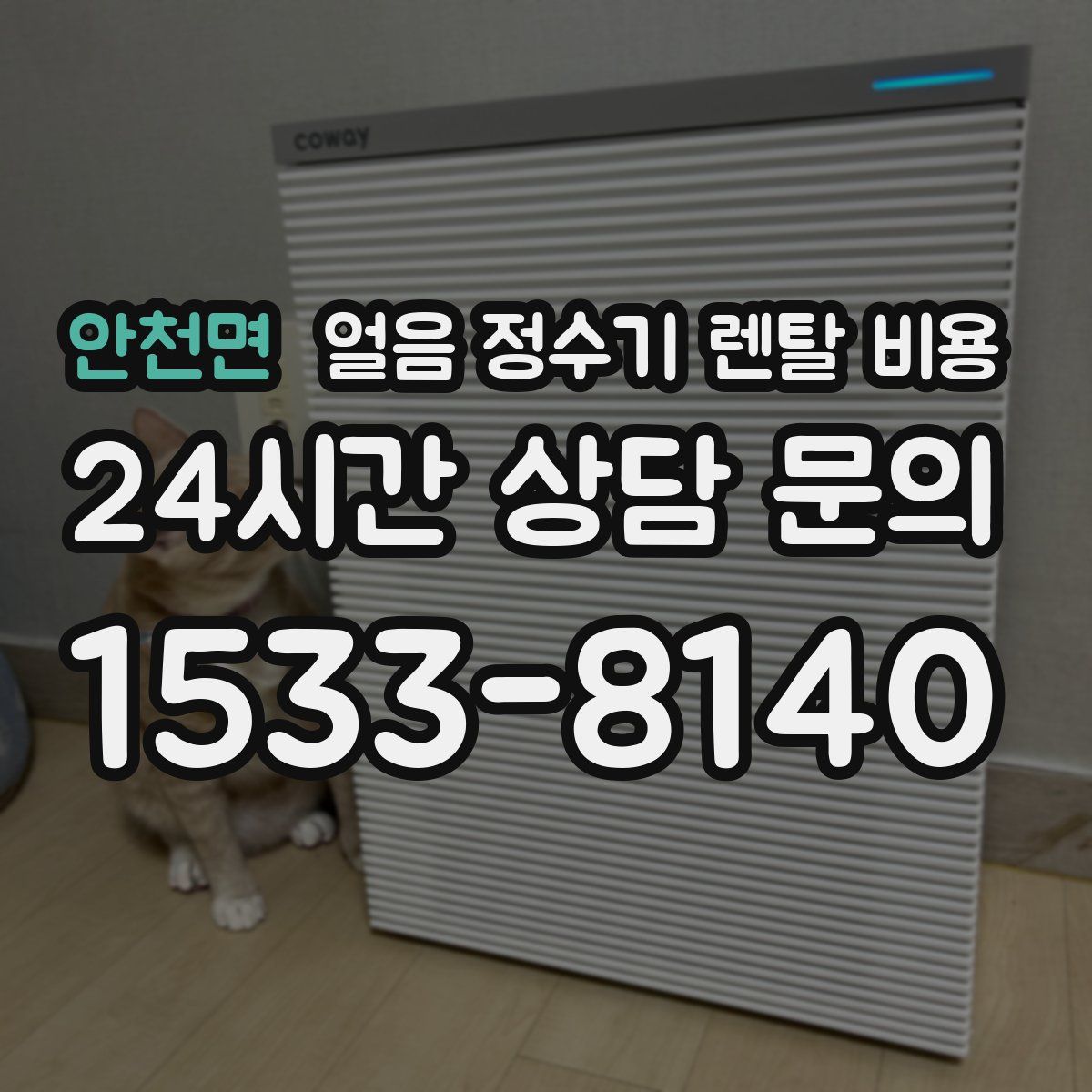 안천면 얼음 정수기 렌탈 비용