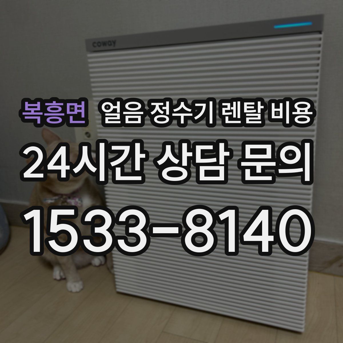 복흥면 얼음 정수기 렌탈 비용