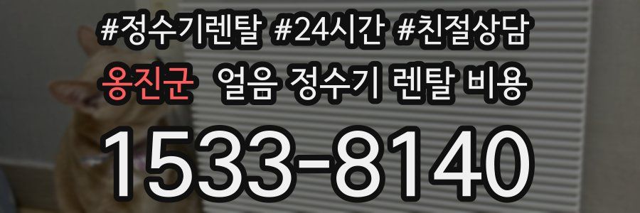 옹진군 얼음 정수기 렌탈 비용