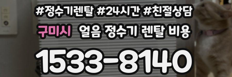 구미시 얼음 정수기 렌탈 비용