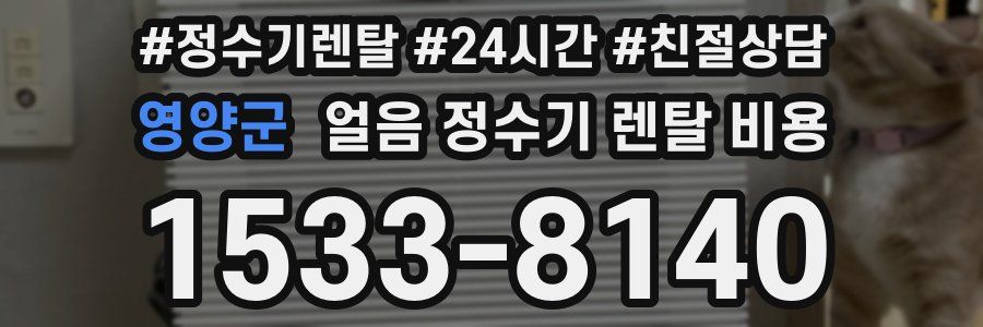 영양군 얼음 정수기 렌탈 비용