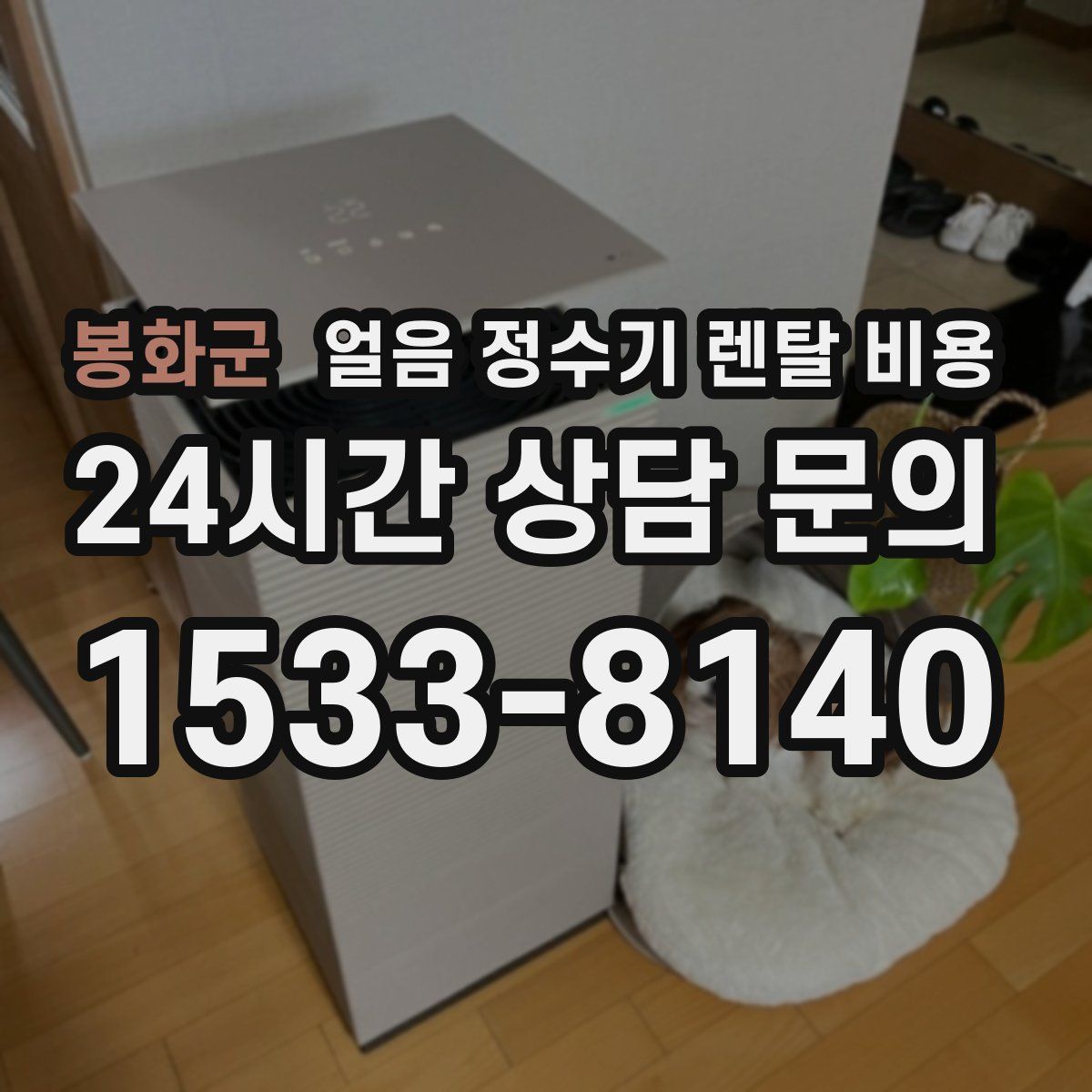 봉화군 얼음 정수기 렌탈 비용