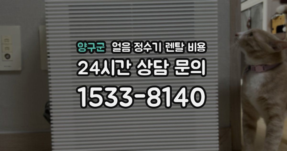 양구군 얼음 정수기 렌탈 비용