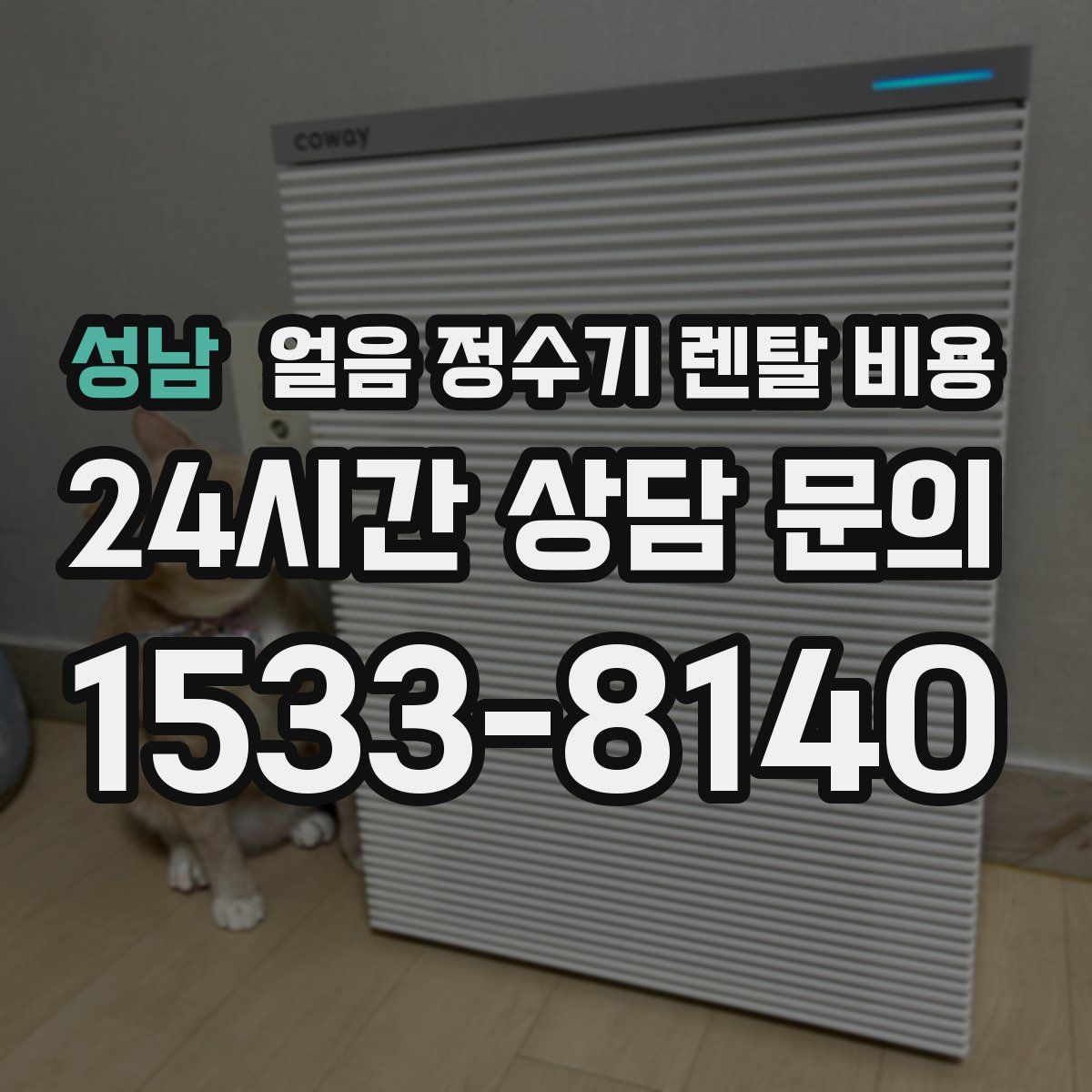 성남 얼음 정수기 렌탈 비용