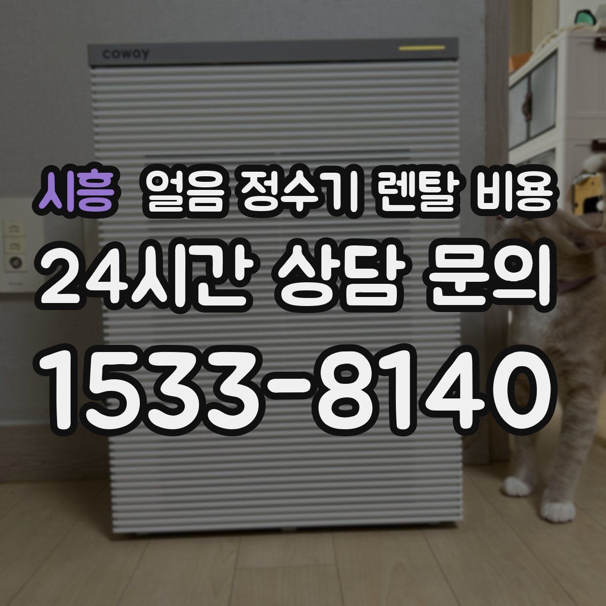 시흥 얼음 정수기 렌탈 비용