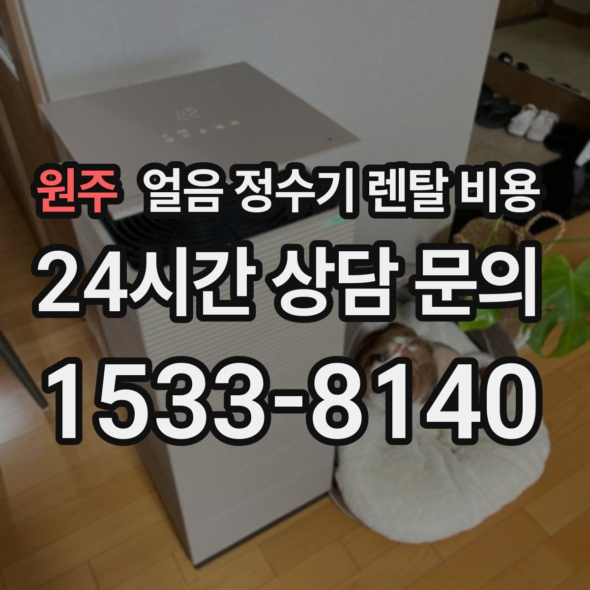 원주 얼음 정수기 렌탈 비용 실속형 제품 고르는 방법