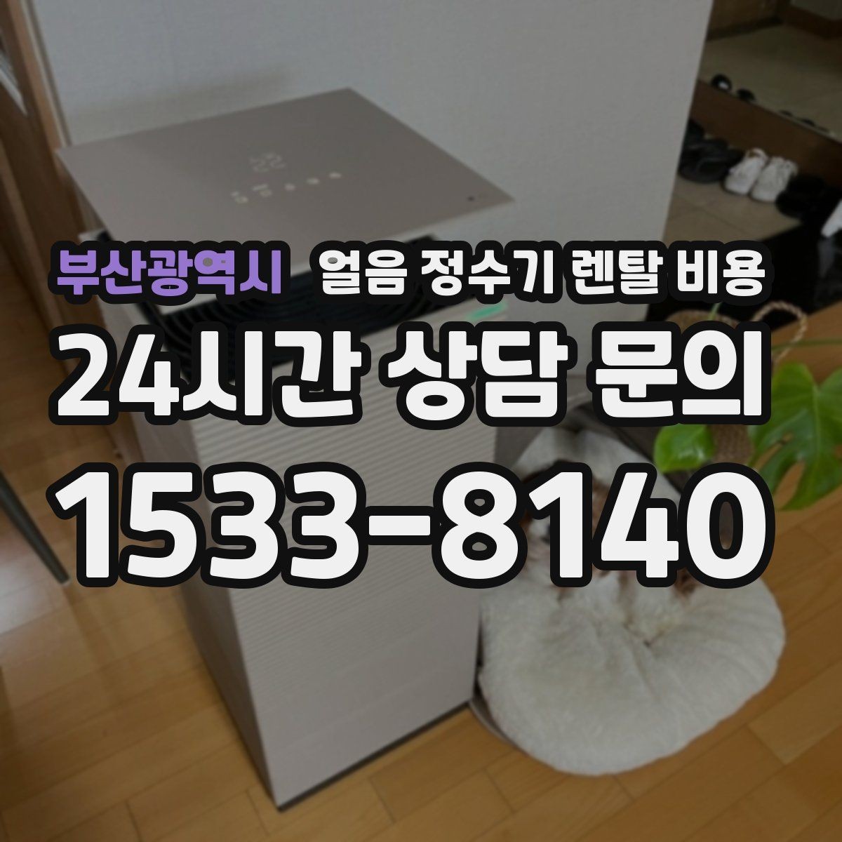 부산광역시 얼음 정수기 렌탈 비용 위생과 편의성 함께 보는 방법
