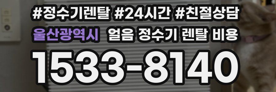 울산광역시 얼음 정수기 렌탈 비용
