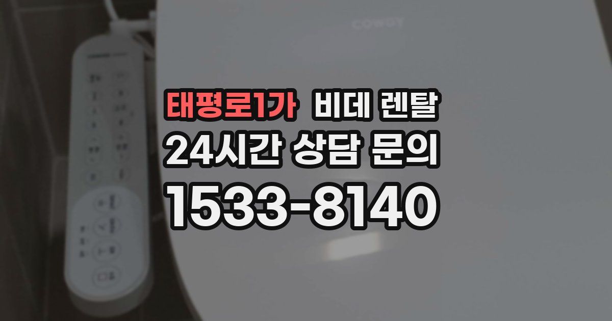 태평로1가 비데 렌탈