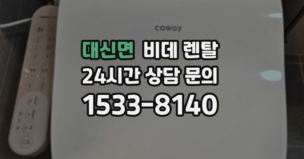 대신면 비데 렌탈