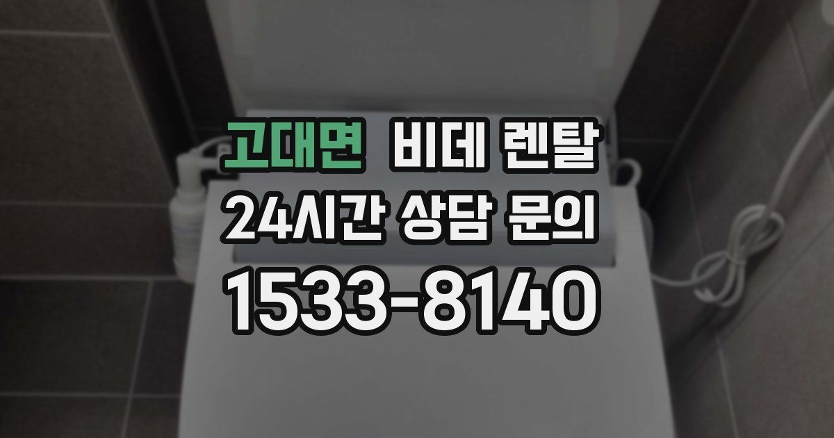고대면 비데 렌탈