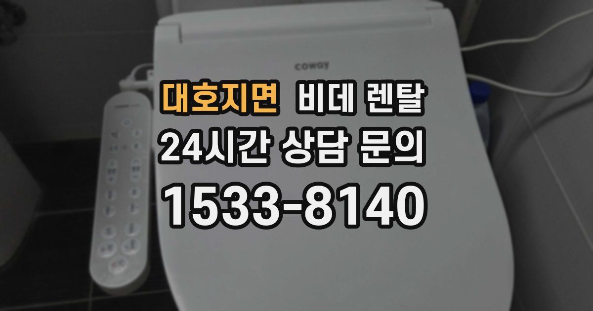 대호지면 비데 렌탈